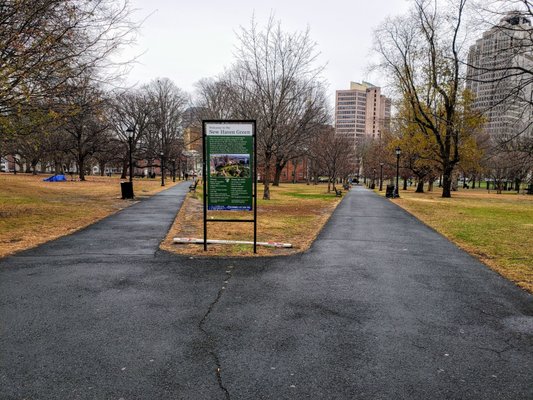 New Haven Green by null