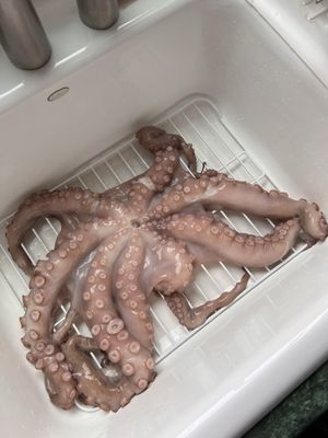 Metropolitan Seafood & Gourmet by null