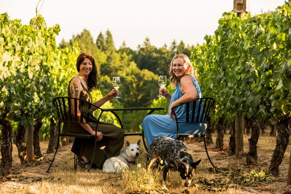 Kramer Vineyards by null