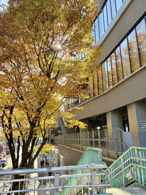 Sequence Miyashita Park by null