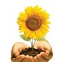 Photo of Bloom Center For Hypnotherapy