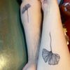 Evolution Tattoo PB gift card