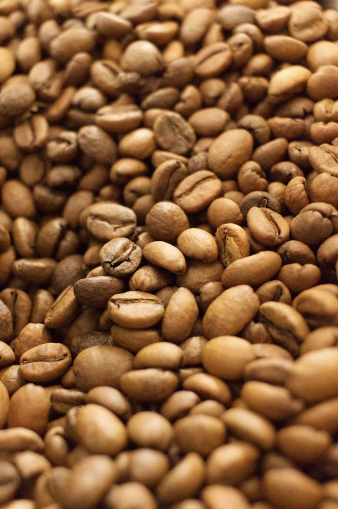 Gurch Coffee Image