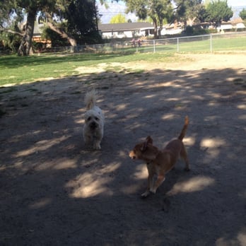 Baldy View Dog Park - Walnut and his new friend - Dog Parks Near Me - Upland, California Baldy View Dog Park - Walnut and his new friend - Dog Parks Near Me - Upland, California