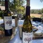 Tulocay Winery