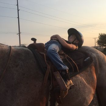 Papa D's Pizzeria - Horses are always so comfortable you might fall asleep on them - Italian Near Me - Firth, Nebraska Papa D's Pizzeria - Horses are always so comfortable you might fall asleep on them - Italian Near Me - Firth, Nebraska