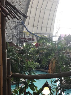 Tropical Islands by null