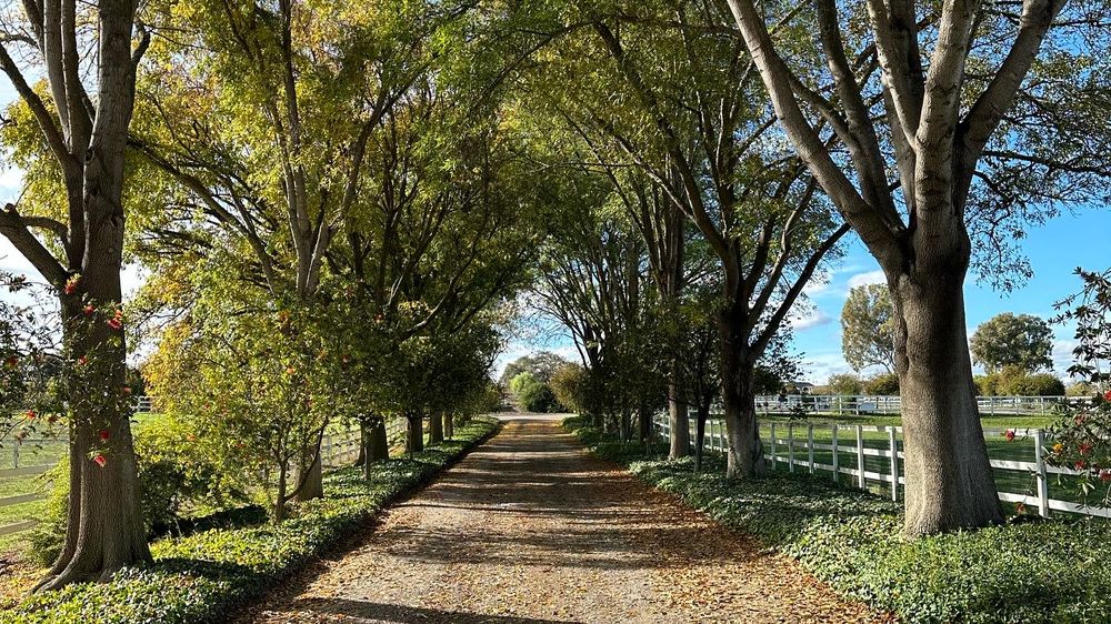 LONE SHEEP RANCH Updated September 2024 13 Photos 1695 Edison St