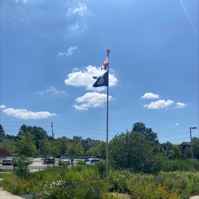 Vienna Community Center by null