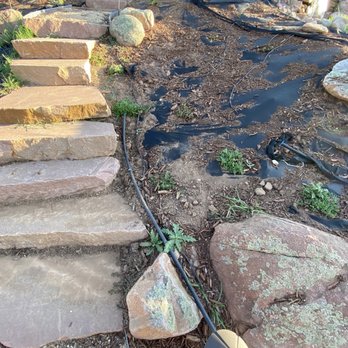Larimer Landscaping - Lawn Services Near Me