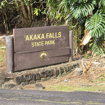 Akaka Falls State Park - Parks Near Me - Honomu, Hawaii Akaka Falls State Park - Parks Near Me - Honomu, Hawaii