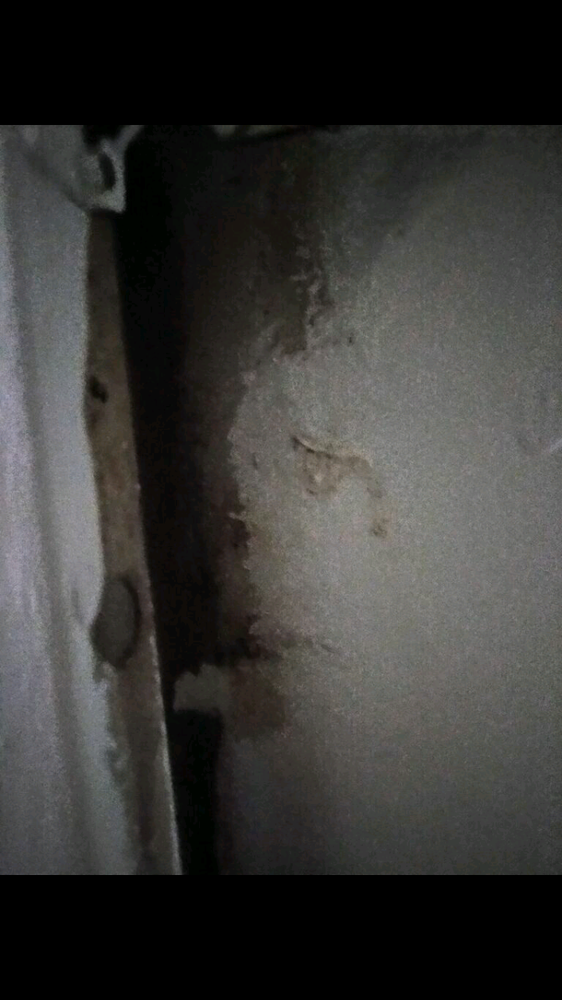 THE ELLINGTON APARTMENTS Updated October 2024 17 Reviews 1611 NE