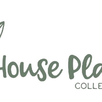 HOUSE PLANT COLLECTIVE - Updated June 2026 - 100 Photos & 23 Reviews - 3621  5th Ave S, Birmingham, Alabama - Nurseries & Gardening - Phone Number - Yelp