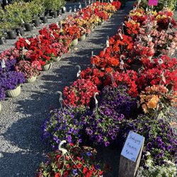 Mello's Farm And Flower Center