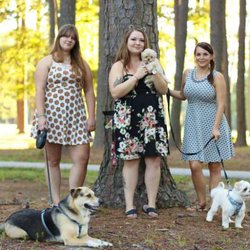 Feathers & Fur Pet Care