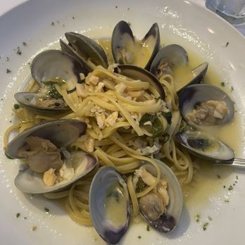 Amici's Restaurant - Linguini with Clam Sauce - Pizza Near Me - Maywood, New Jersey Amici's Restaurant - Linguini with Clam Sauce - Pizza Near Me - Maywood, New Jersey