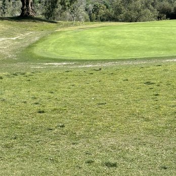 Coyote Hills Golf Course - Golf Near Me - Fullerton, California Coyote Hills Golf Course - Golf Near Me - Fullerton, California