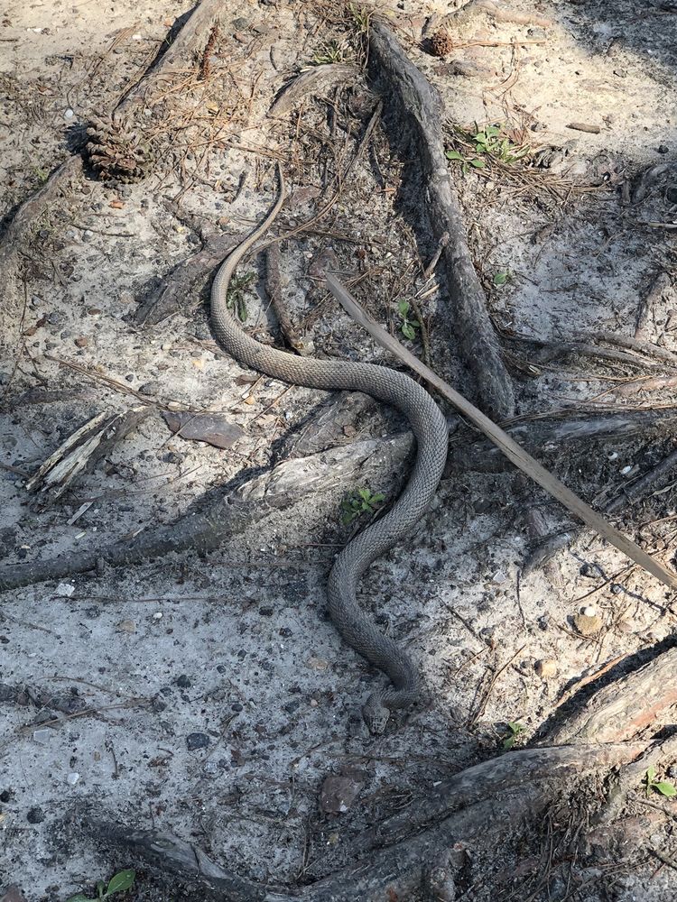 MUNDEN POINT PARK 65 Photos & 18 Reviews Parks 2001 Pefley Ln, Virginia Beach, VA Yelp