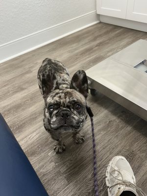 Florida Veterinary Clinic