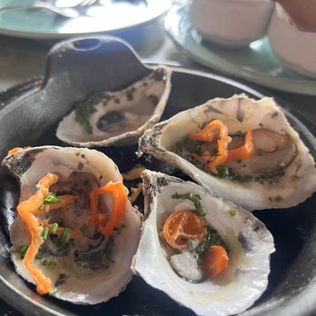 A'Verde Cocina and Tequila Library - Oysters- meh - New Mexican Cuisine Near Me - Cary, North Carolina