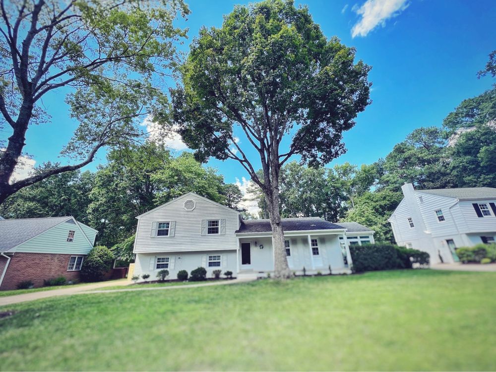 Lyric's Lawn & Home Care - tree service in Richmond, VA