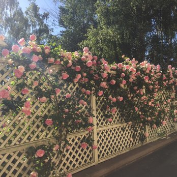 Garden Valley Ranch - Climbers called Eden - Venues & Event Spaces Near Me - Petaluma, California Garden Valley Ranch - Climbers called Eden - Venues & Event Spaces Near Me - Petaluma, California