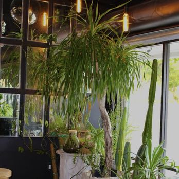 Leafy - Asian Fusion Near Me - Pembroke Pines, Florida