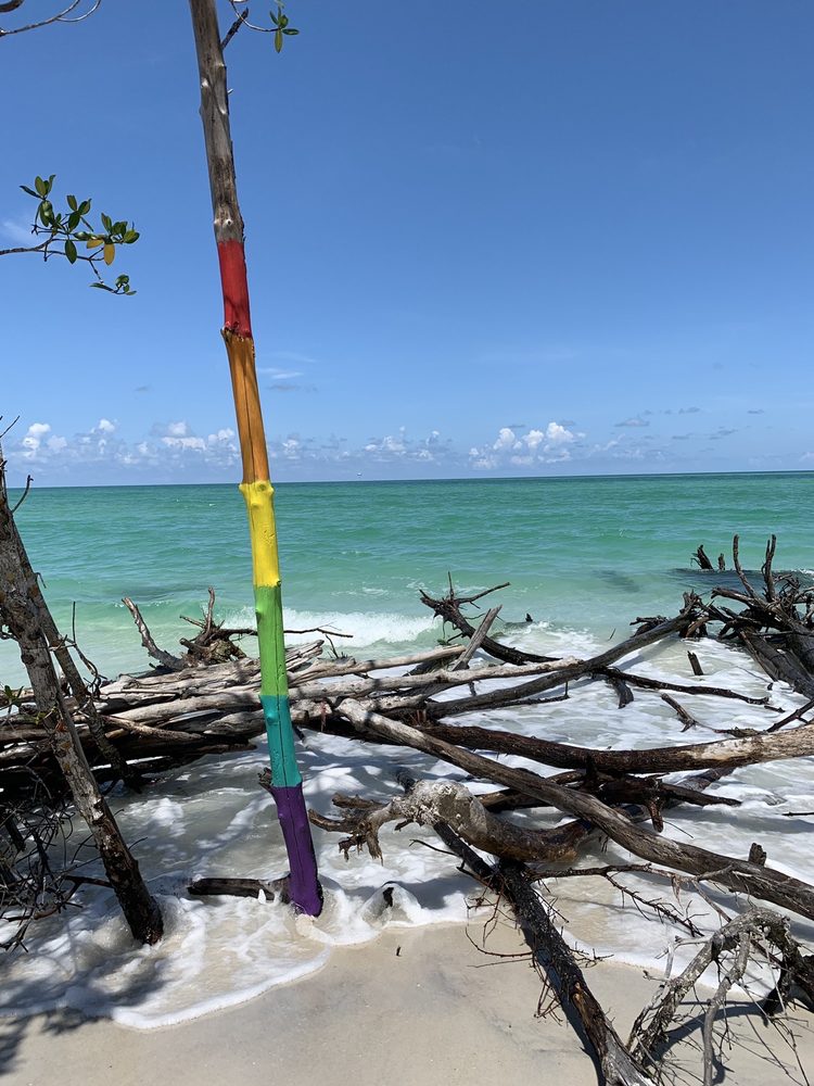 BEER CAN ISLAND 108 Photos Beaches 1 Beer Can Island Way, Pine