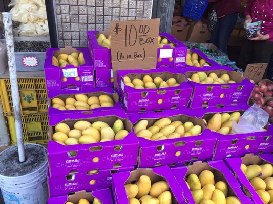 Aloha Market by null