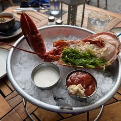 Chilled Lobster