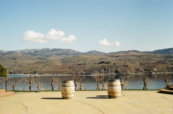 Karma Vineyards by null
