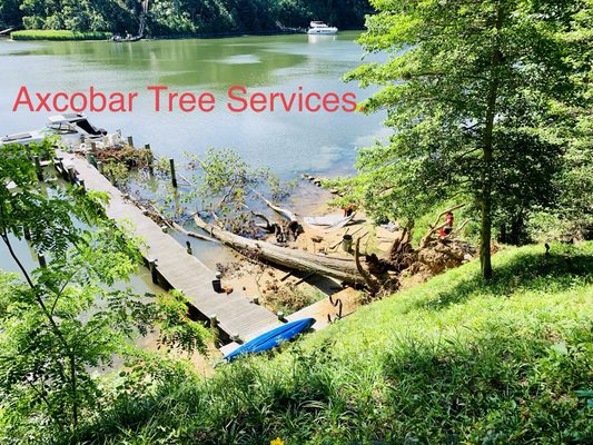 BROKEN TREE STORM DAMAGE ON SHORE. - This has been one of the most challenging projects we had done. Since there was not accesible with equipment to get the tree remove or drag it out of the water or haul it up hill.