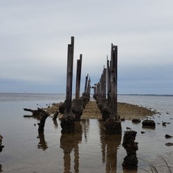 St Marks National Wildlife Refuge - St Marks Wildlife Refuge