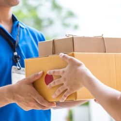 D-Line Courier Service - Delivery services