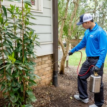 Pest Authority - Pest Control Near Me - Heathsville, Virginia