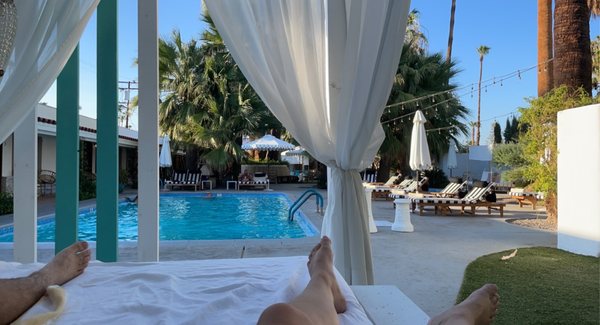 Dive Palm Springs by null
