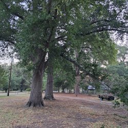 El Dorado Tree Service