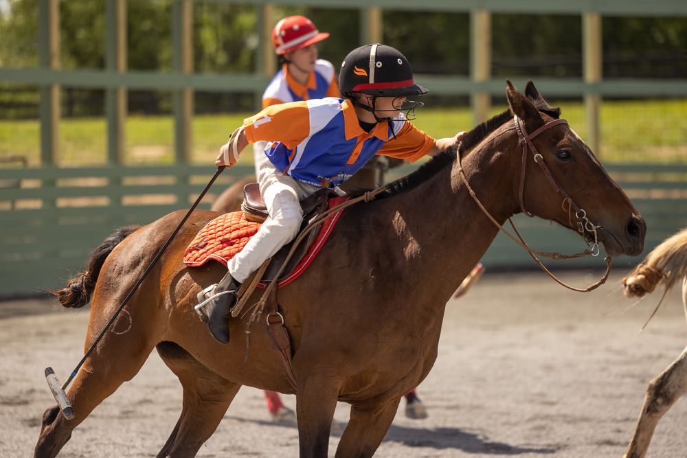 Liberty Hall Plantation - equestrian in Rixeyville, VA