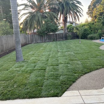 BDC Landscape - Install of new sod in 80+ weather - Landscaping Near Me BDC Landscape - Install of new sod in 80+ weather - Landscaping Near Me