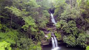 JOCASSEE LAKE TOURS by null