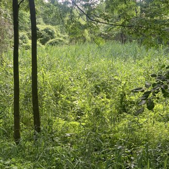 Van Cortlandt Park - High Foliage - Parks Near Me - The Bronx, New York Van Cortlandt Park - High Foliage - Parks Near Me - The Bronx, New York