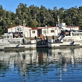 Noyo Fish Company - Seafood Near Me - Fort Bragg, California Noyo Fish Company - Seafood Near Me - Fort Bragg, California
