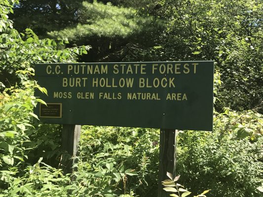 Moss Glen Falls by null