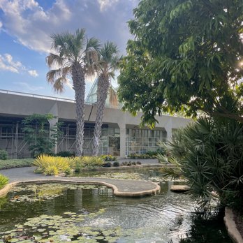 San Antonio Botanical Garden - Botanical Gardens Near Me - San Antonio, Texas