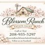 Blossom Ranch Estate Sales