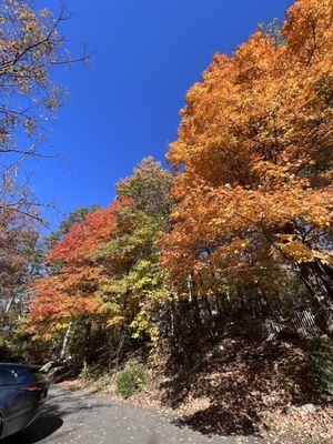 Sugarloaf Mountain by null