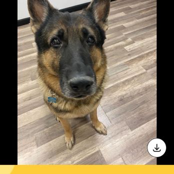 Furry Pet Resorts - Pet Boarding Near Me - Las Vegas, Nevada Furry Pet Resorts - Pet Boarding Near Me - Las Vegas, Nevada