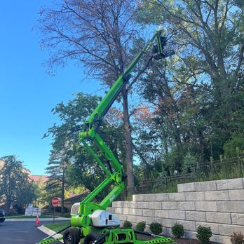 Easy Tree Service - Large tree trimming by Easy Tree Service - Tree Services Near Me - Lakeville, Minnesota Easy Tree Service - Large tree trimming by Easy Tree Service - Tree Services Near Me - Lakeville, Minnesota