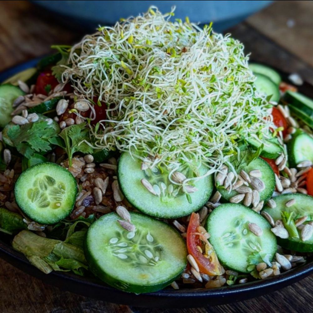The Blue Owl - Fried Rice Salad - Asian Fusion Near Me - Santa Barbara, California The Blue Owl - Fried Rice Salad - Asian Fusion Near Me - Santa Barbara, California