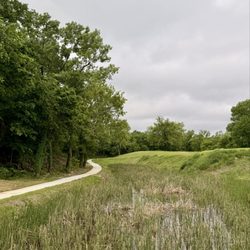 Chandler Park - Walking path
